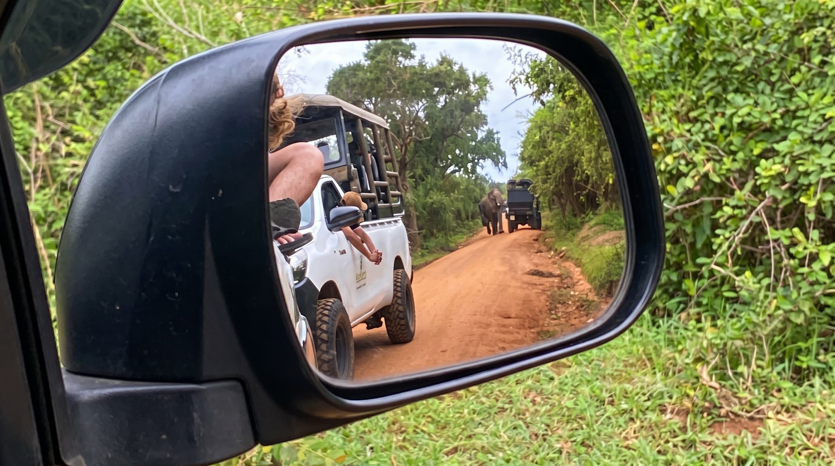 Private Yala safari jeep experience